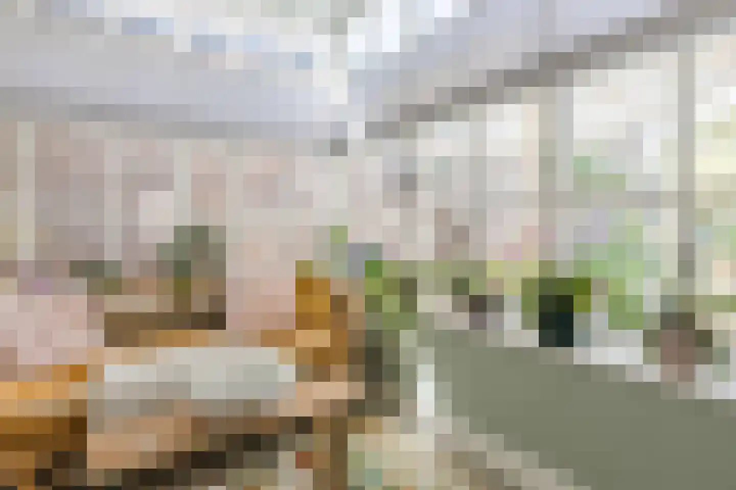 Karel Mollenstraat Noord 13 Valkenswaard thumbnail 48