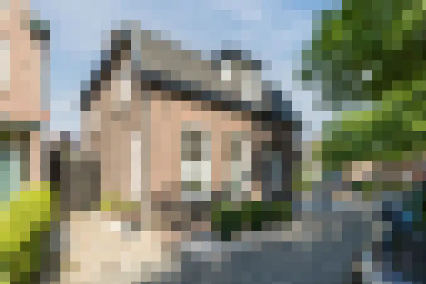Karel Mollenstraat Noord 13 Valkenswaard thumbnail 5