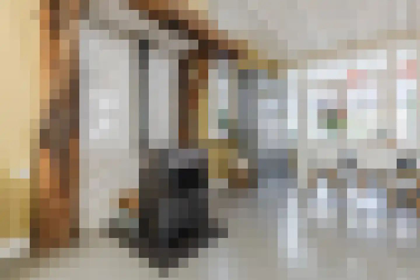 Karel Mollenstraat Noord 13 Valkenswaard thumbnail 9