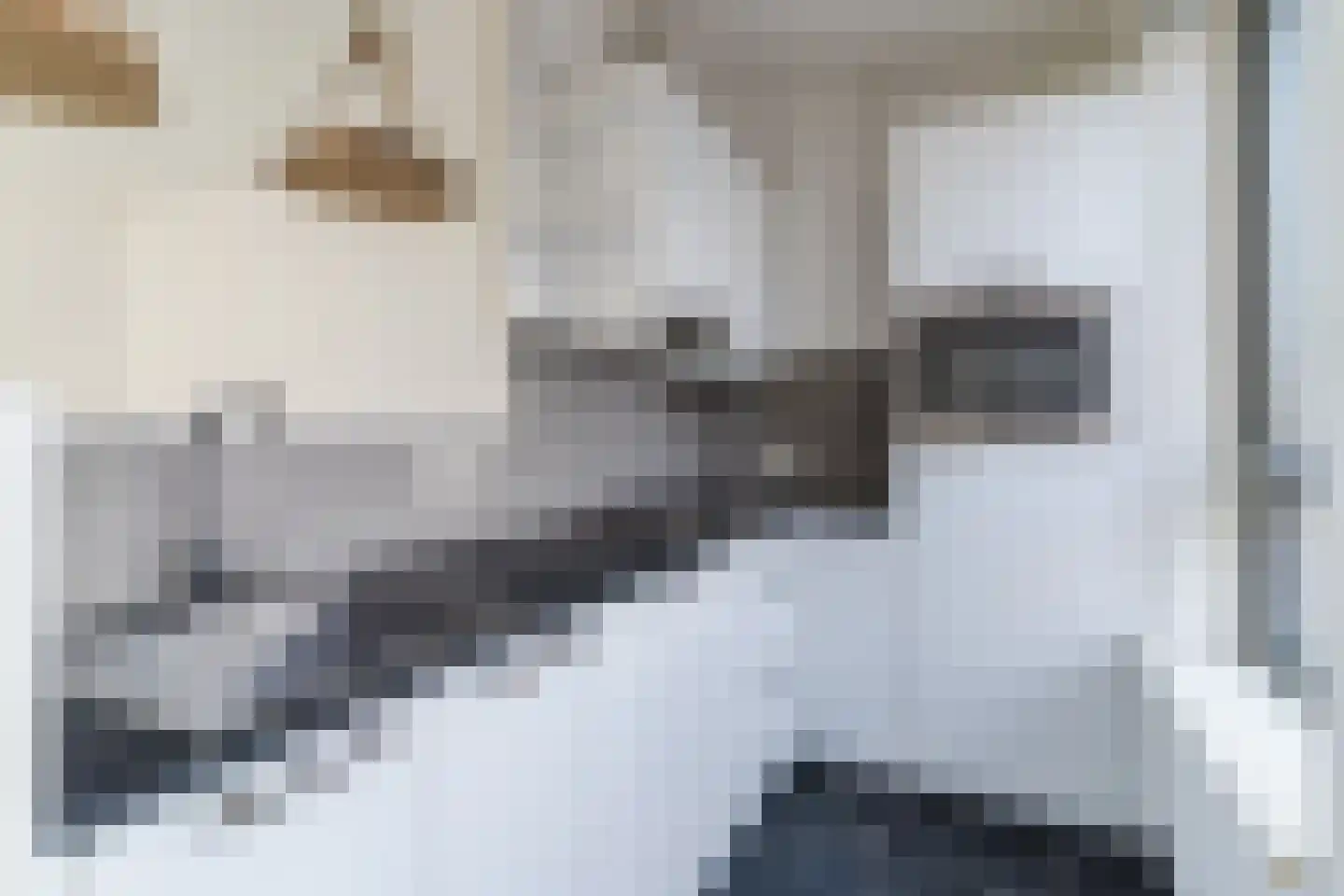 Karel Mollenstraat Noord 25 Valkenswaard thumbnail 15