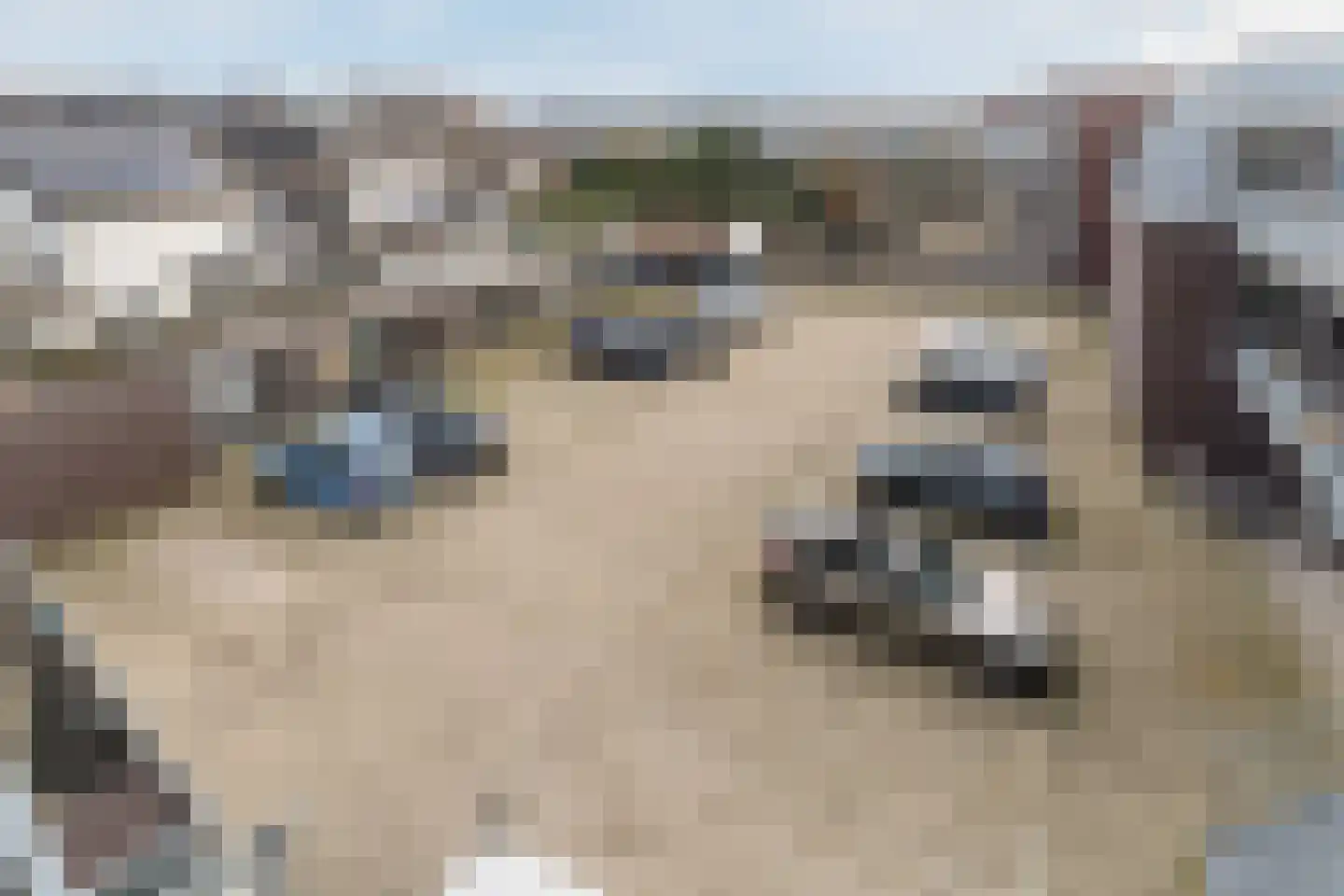 Karel Mollenstraat Noord 25 Valkenswaard thumbnail 27