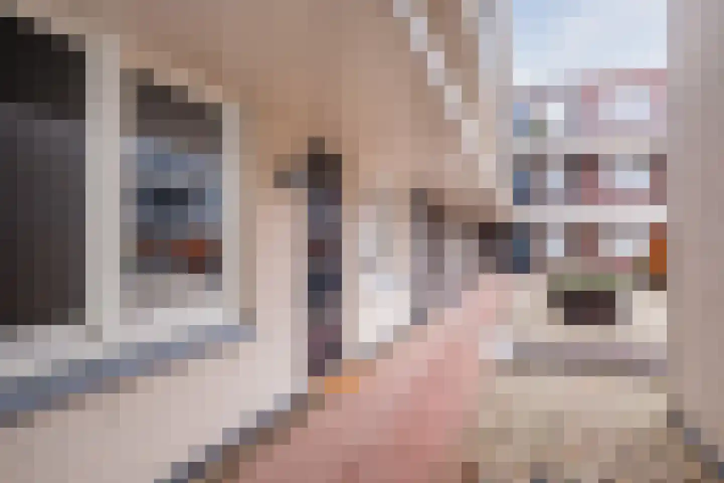 Karel Mollenstraat Zuid 82 Valkenswaard thumbnail 13