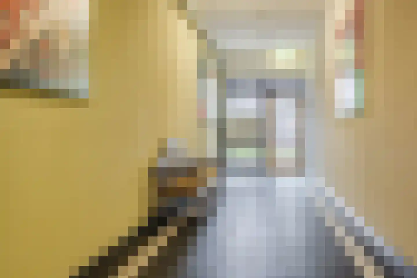 Karel Mollenstraat Zuid 82 Valkenswaard thumbnail 8