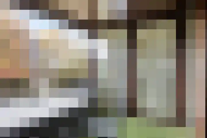 Karel Mollenstraat Zuid 95 Valkenswaard thumbnail 26