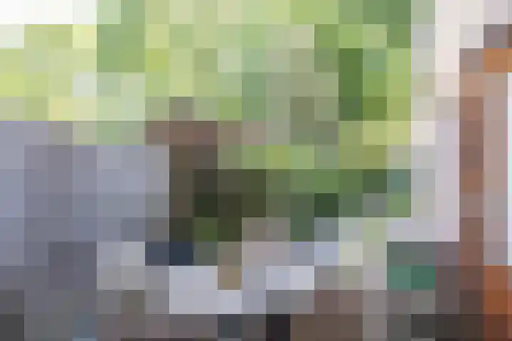Karel Peulenstraat 15 Oirsbeek thumbnail 32