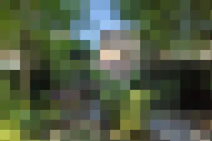 Karel Peulenstraat 15 Oirsbeek thumbnail 36