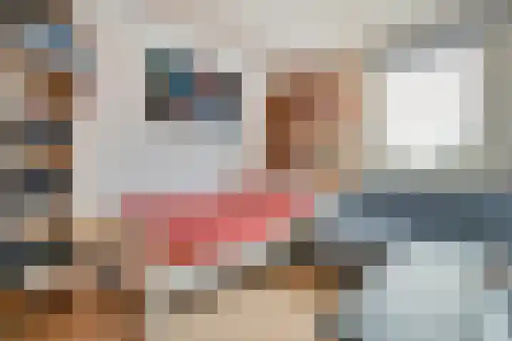 Karel Schaapstraat 12 Vriezenveen thumbnail 13