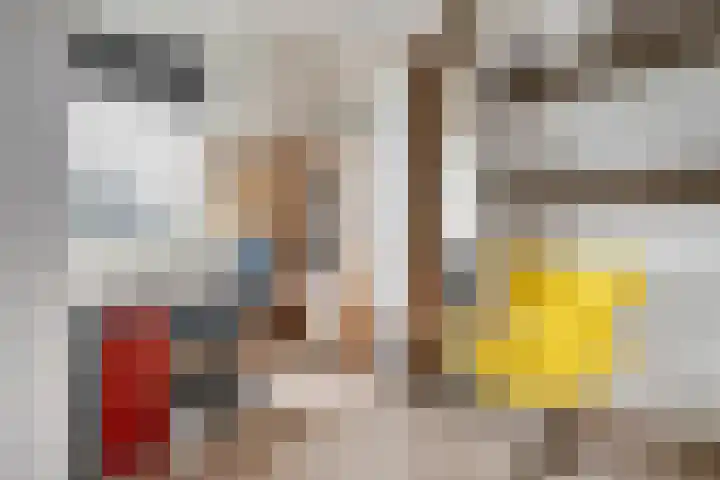 Karel Schaapstraat 12 Vriezenveen thumbnail 15