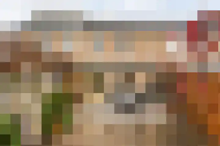 Karel Schaapstraat 12 Vriezenveen thumbnail 21