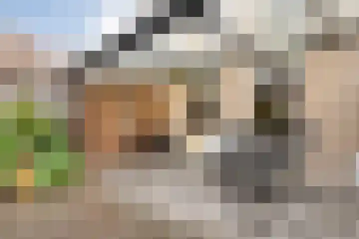 Karel Schaapstraat 12 Vriezenveen thumbnail 22