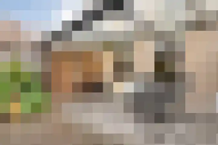 Karel Schaapstraat 12 Vriezenveen thumbnail 4