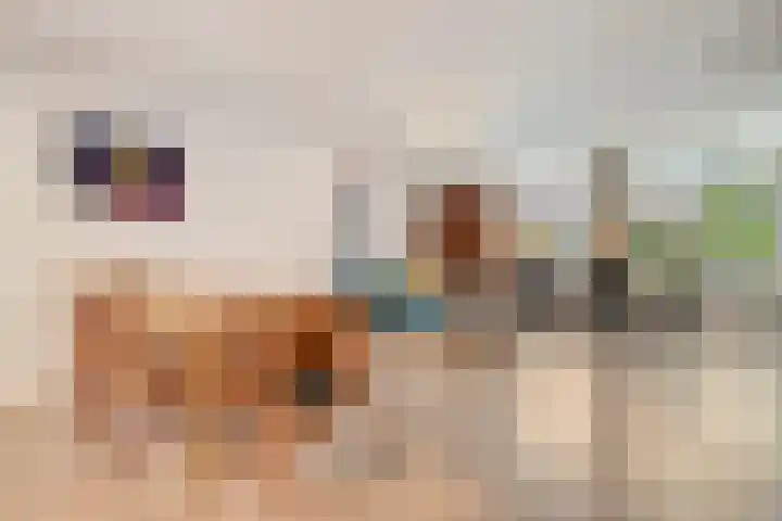 Karel Schaapstraat 12 Vriezenveen thumbnail 7