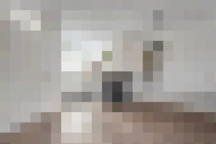Karel Schaapstraat 20 Vriezenveen thumbnail 13