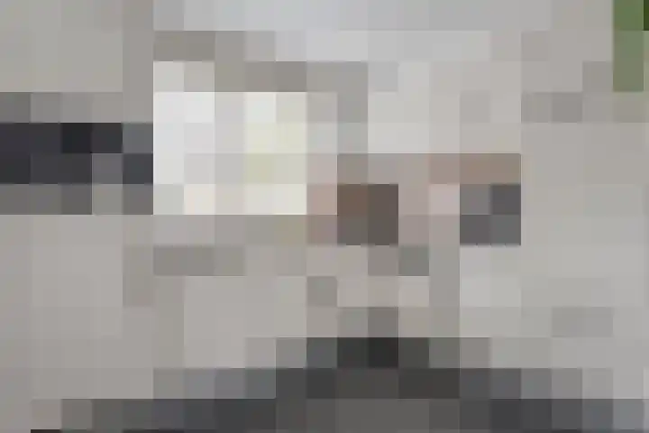 Karel Schaapstraat 20 Vriezenveen thumbnail 15