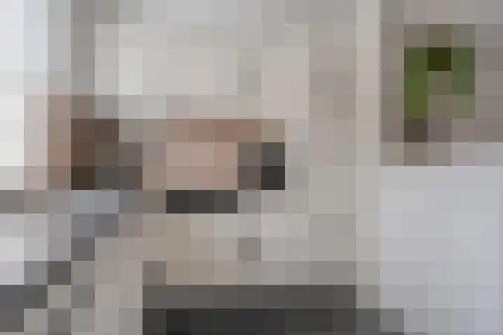Karel Schaapstraat 20 Vriezenveen thumbnail 17