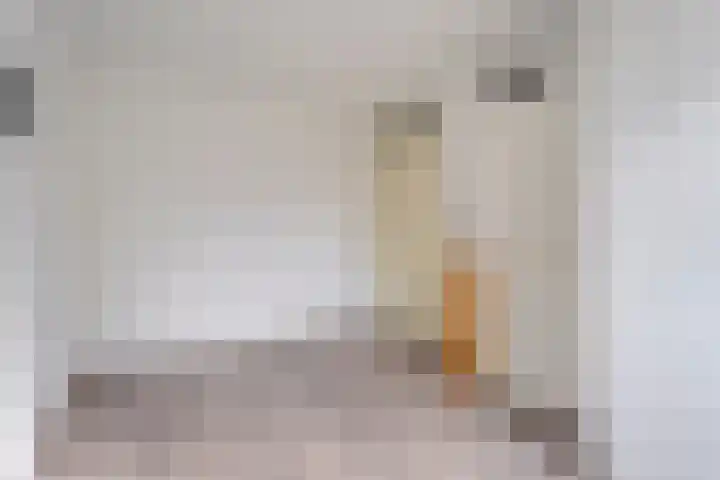 Karel Schaapstraat 20 Vriezenveen thumbnail 20