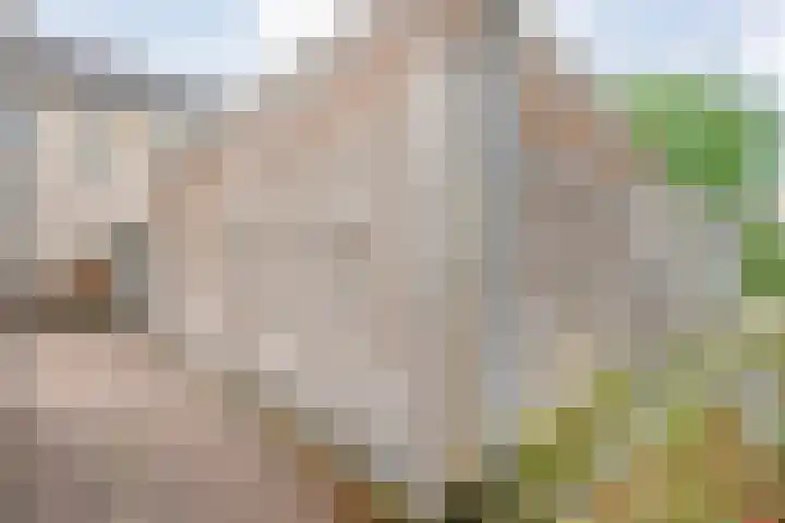 Karel Schaapstraat 20 Vriezenveen thumbnail 35