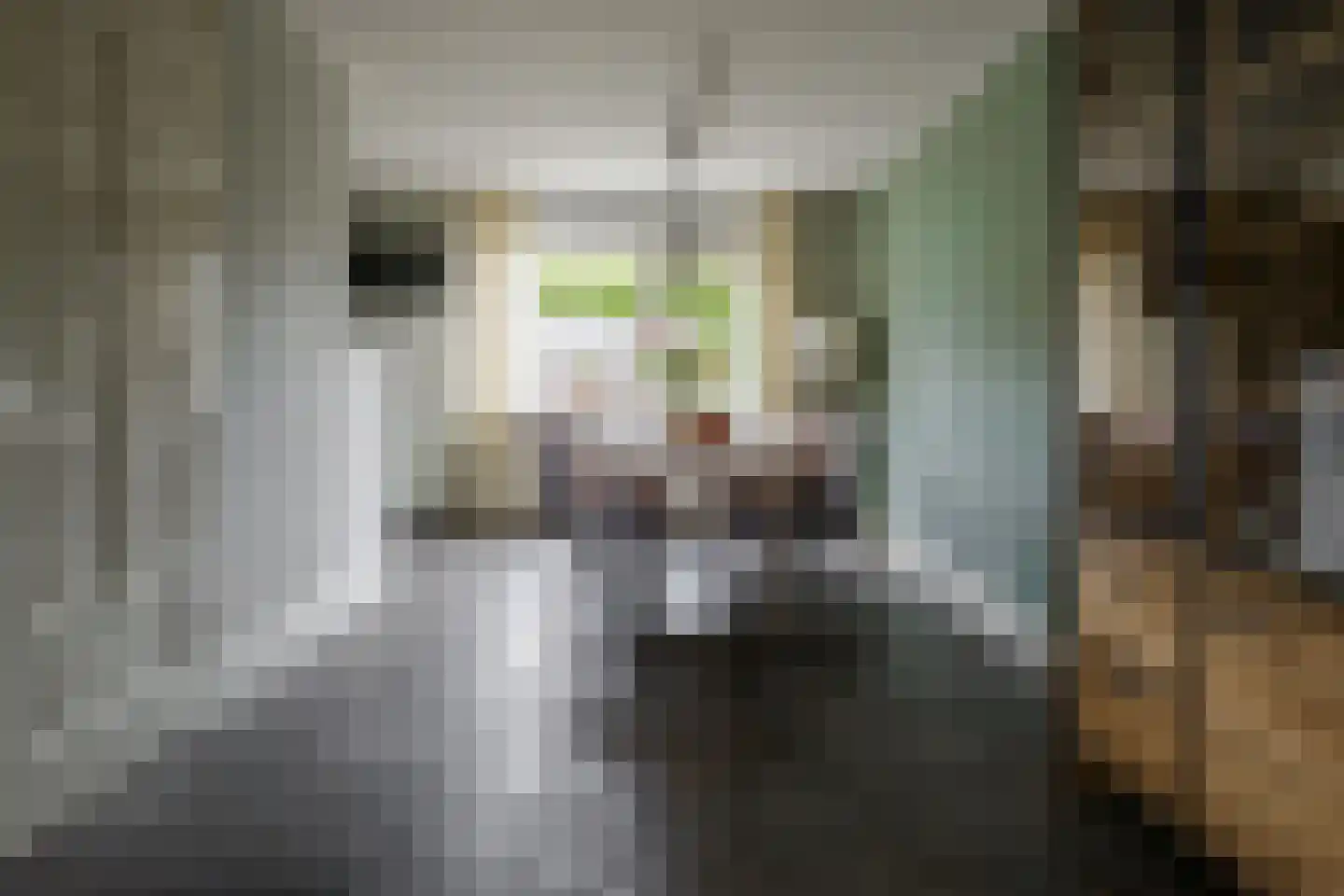 Karel Schaapstraat 28 Vriezenveen thumbnail 15
