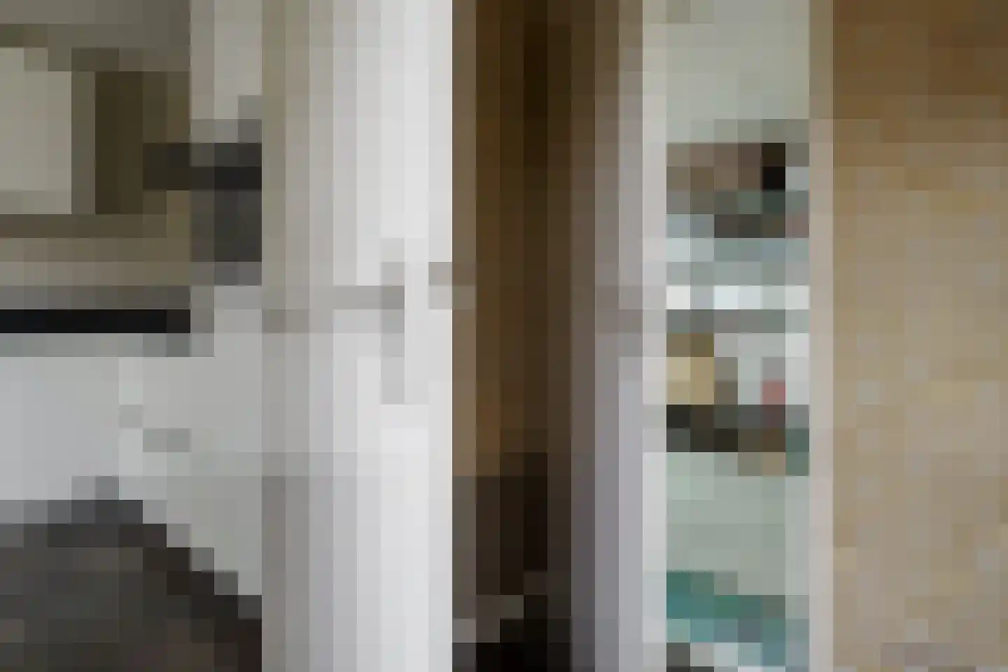 Karel Schaapstraat 28 Vriezenveen thumbnail 23