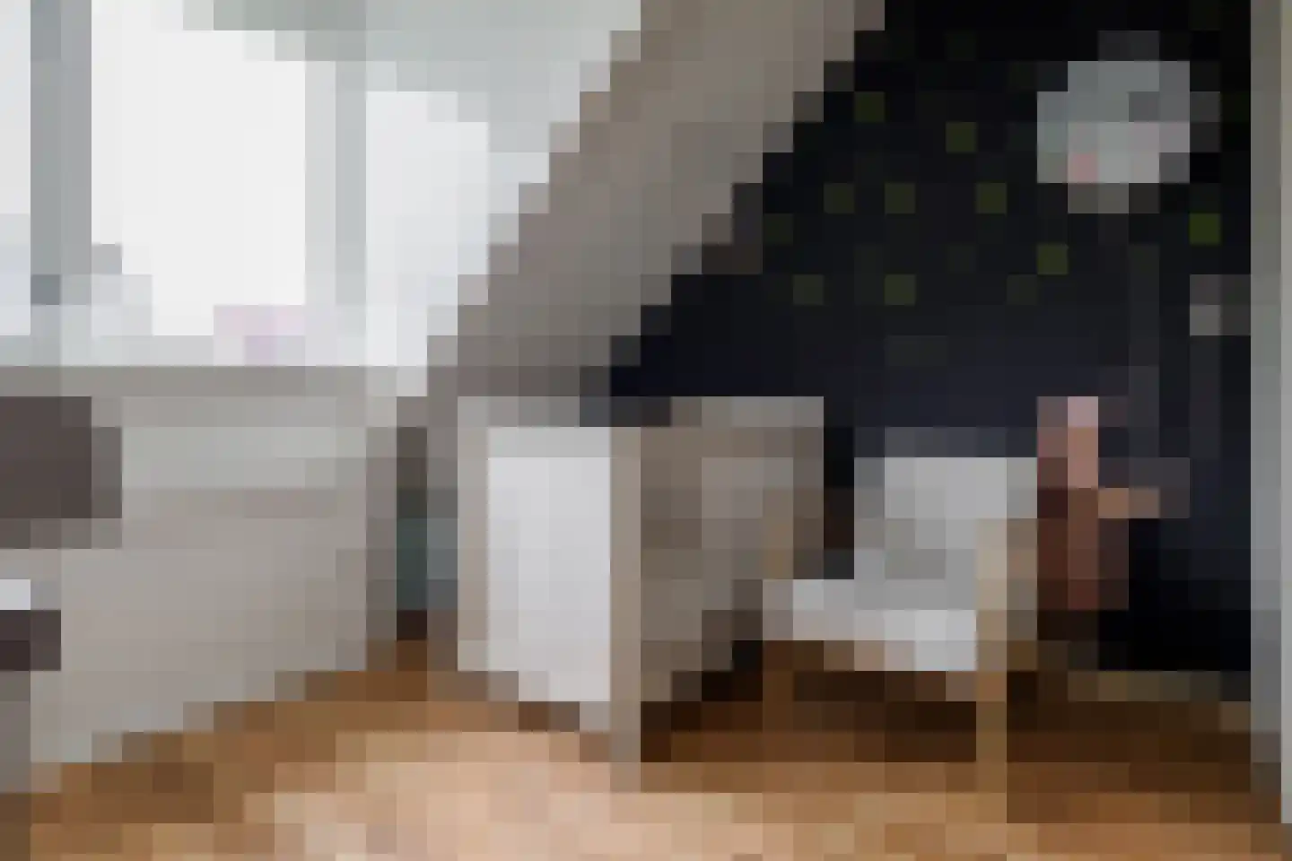 Karel Schaapstraat 28 Vriezenveen thumbnail 33