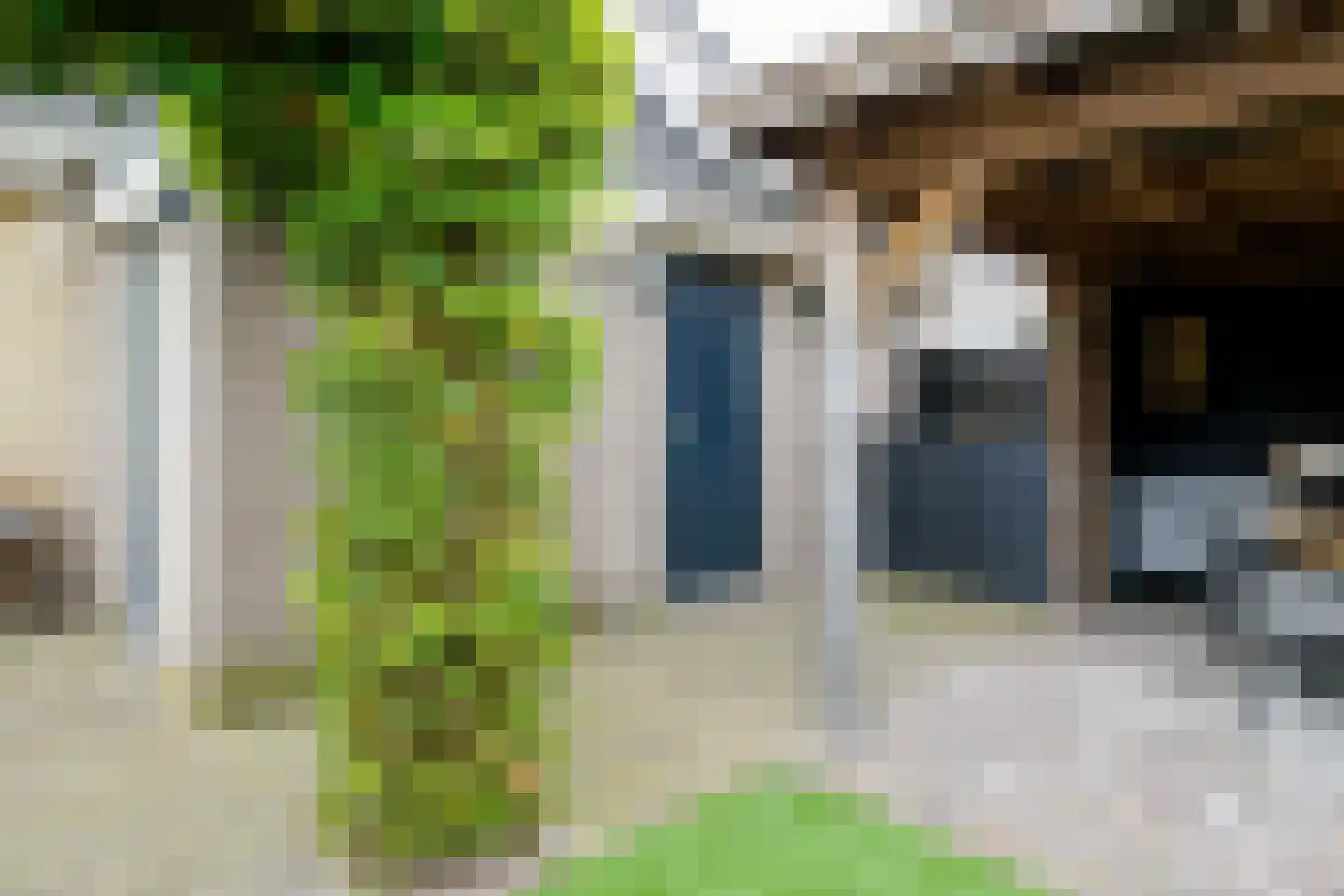 Karel Schaapstraat 28 Vriezenveen thumbnail 44