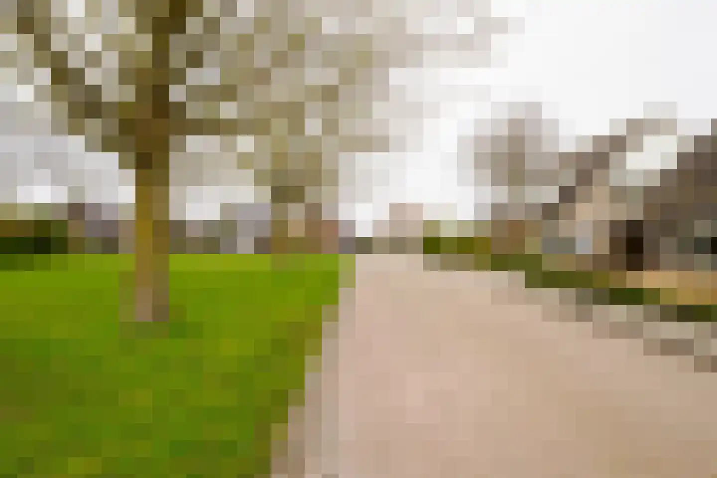 Karel Schaapstraat 28 Vriezenveen thumbnail 51