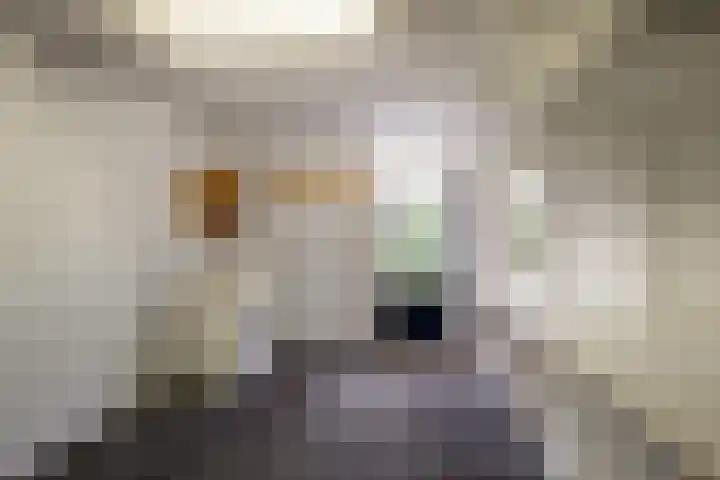 Karel Schaapstraat 36 Vriezenveen thumbnail 16