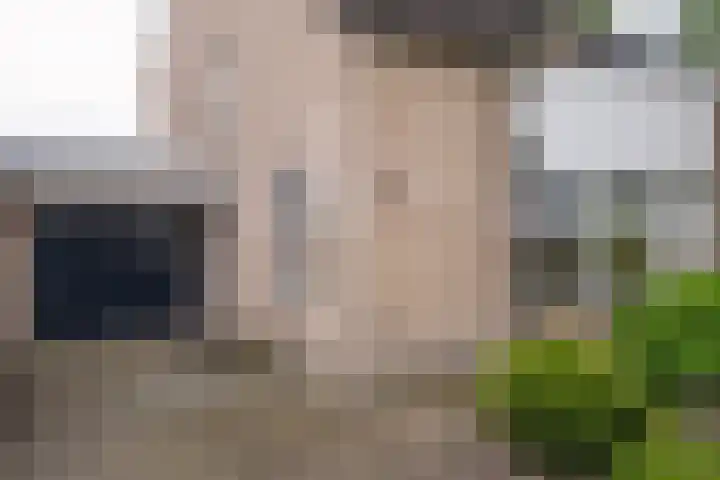 Karel Schaapstraat 36 Vriezenveen thumbnail 6