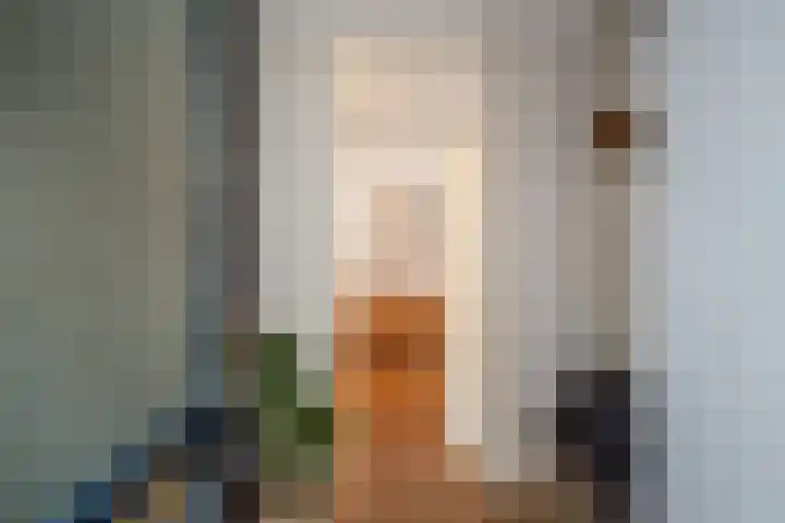 Karel Schaapstraat 36 Vriezenveen thumbnail 7
