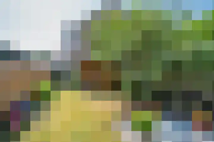 Karel V-laan 18 Venlo thumbnail 33
