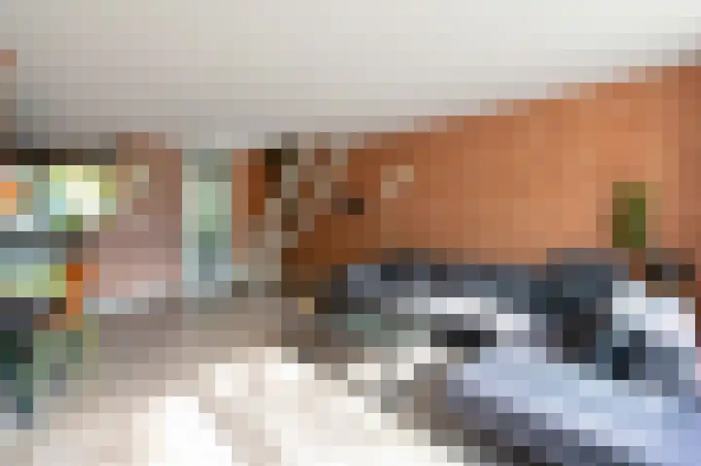 Karel V laan 24 Waalre thumbnail 8