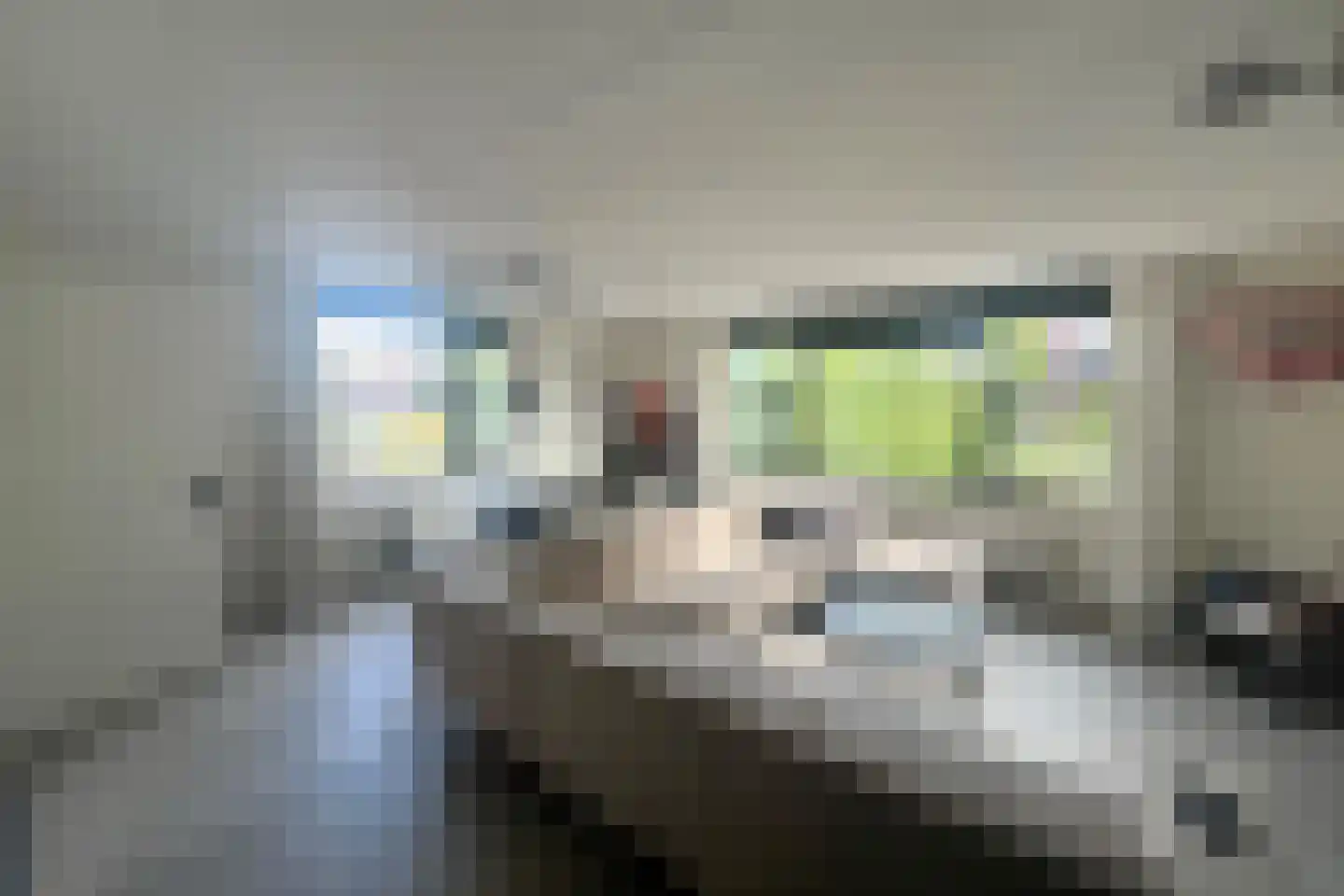 Karel V laan 29 Gorinchem thumbnail 7