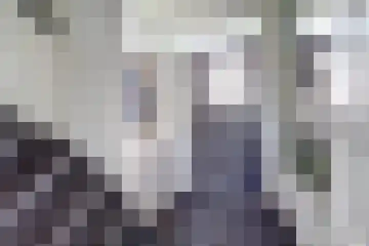 Karel V Laan 3 Geertruidenberg thumbnail 15