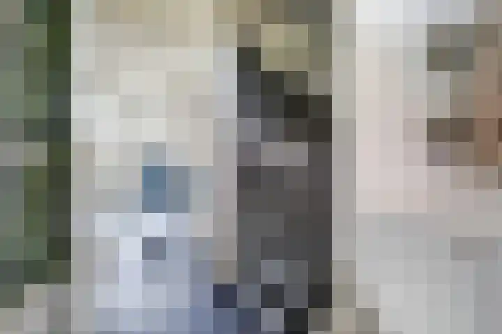 Karel V Laan 3 Geertruidenberg thumbnail 16