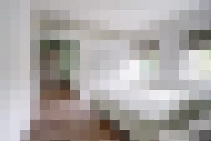 Karel V Laan 3 Geertruidenberg thumbnail 17