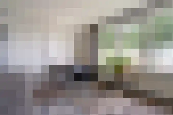 Karel V Laan 3 Geertruidenberg thumbnail 21