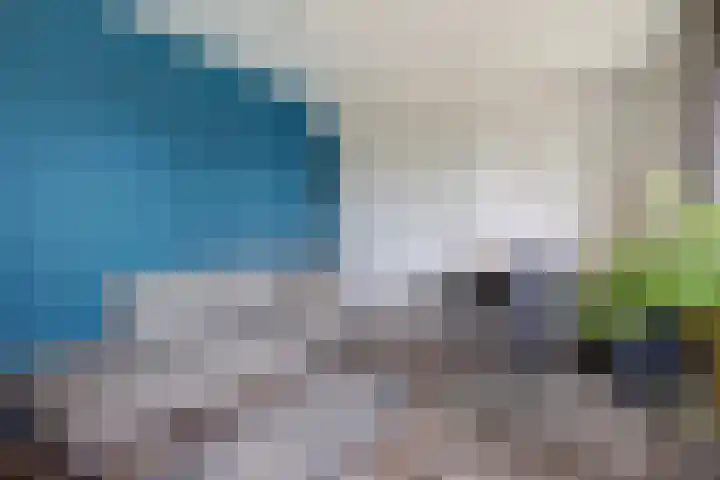 Karel V Laan 3 Geertruidenberg thumbnail 22
