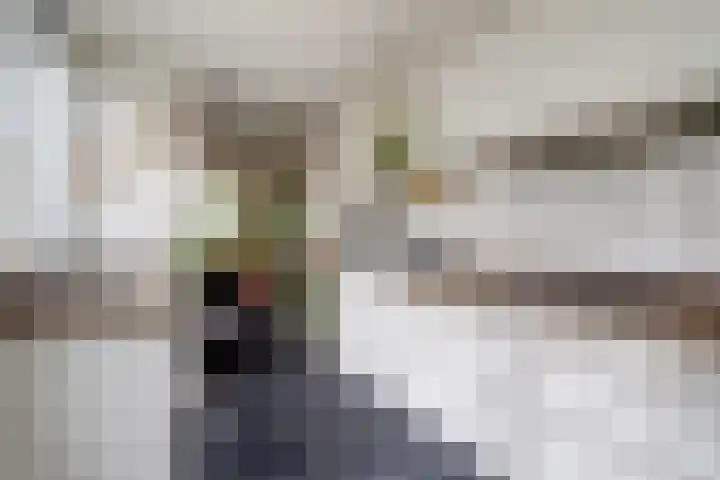 Karel V Laan 3 Geertruidenberg foto 3