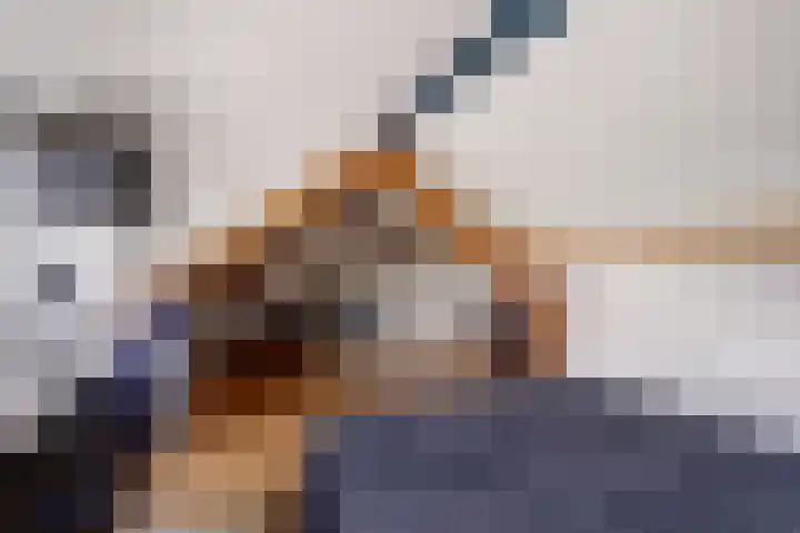 Karel V Laan 3 Geertruidenberg thumbnail 30