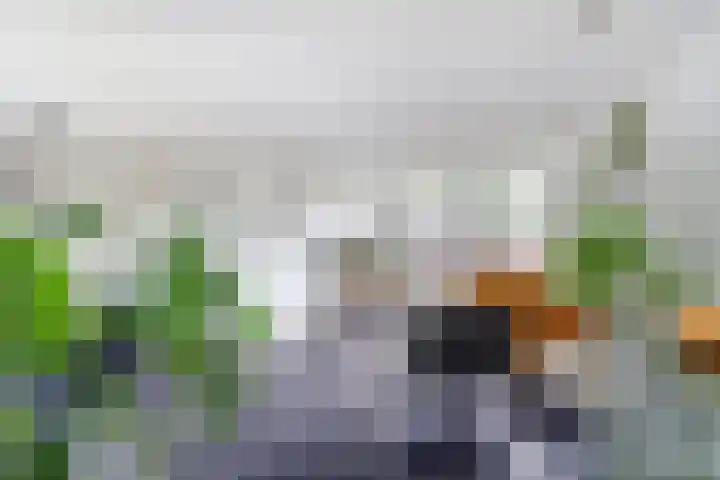Karel V Laan 3 Geertruidenberg thumbnail 8