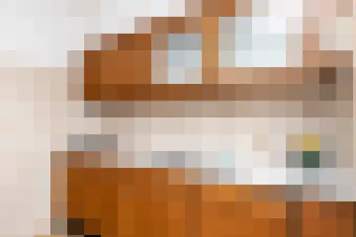 Karel V Laan 45 Geertruidenberg thumbnail 19