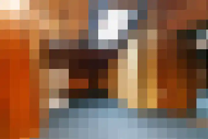 Karel V Laan 45 Geertruidenberg thumbnail 29
