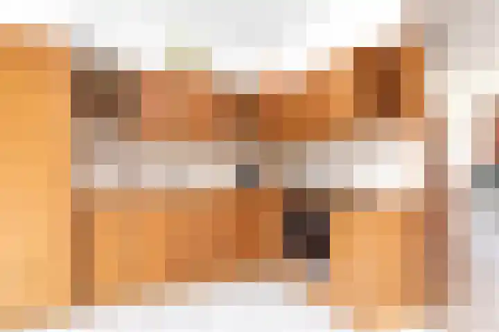 Karel V Laan 83 Geertruidenberg thumbnail 25