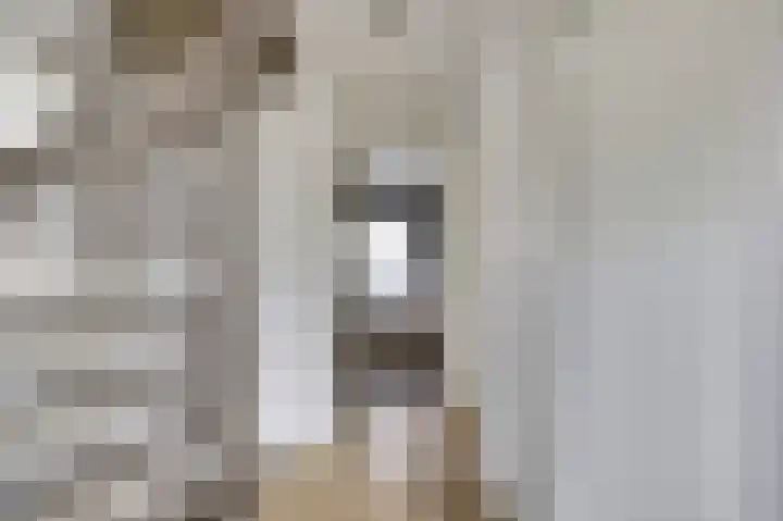 Karel V Laan 9 Geertruidenberg thumbnail 14
