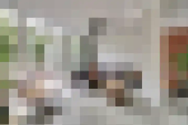 Karel V Laan 9 Geertruidenberg thumbnail 5