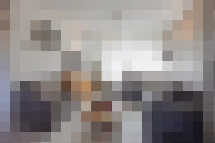 Karel V Laan 93 Geertruidenberg thumbnail 19