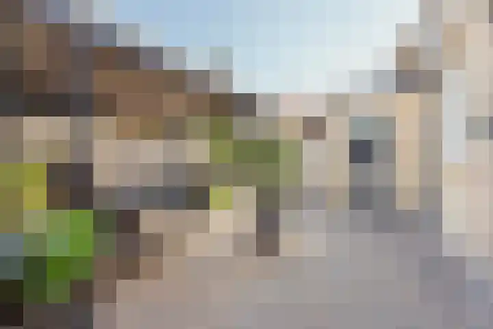 Karel V Laan 93 Geertruidenberg thumbnail 37