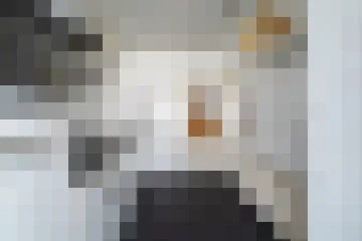Karel V Laan 97 Geertruidenberg thumbnail 10