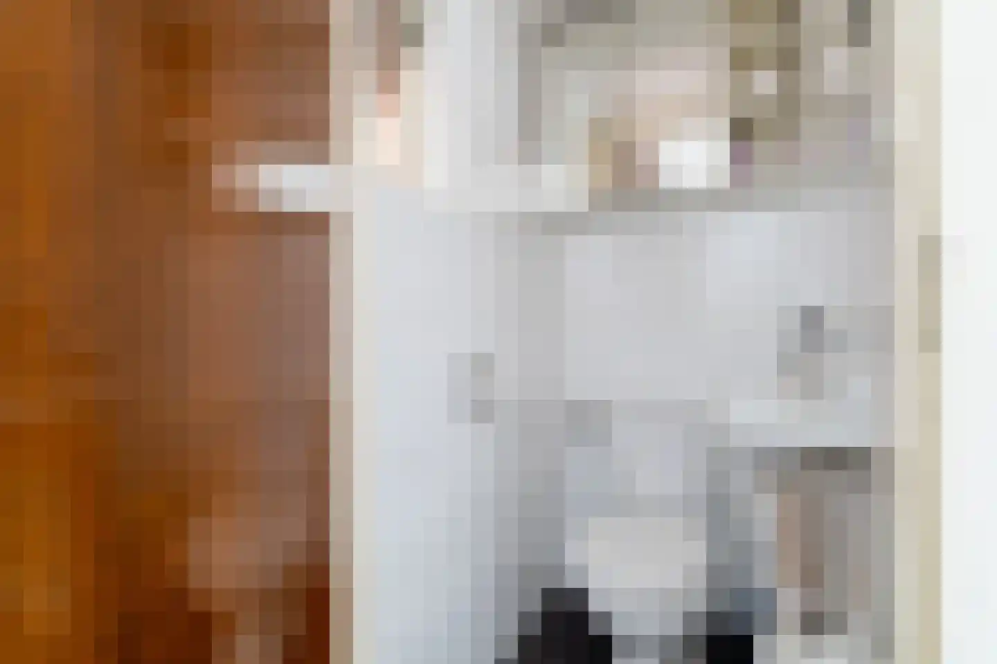 Karel V Laan 97 Geertruidenberg thumbnail 5