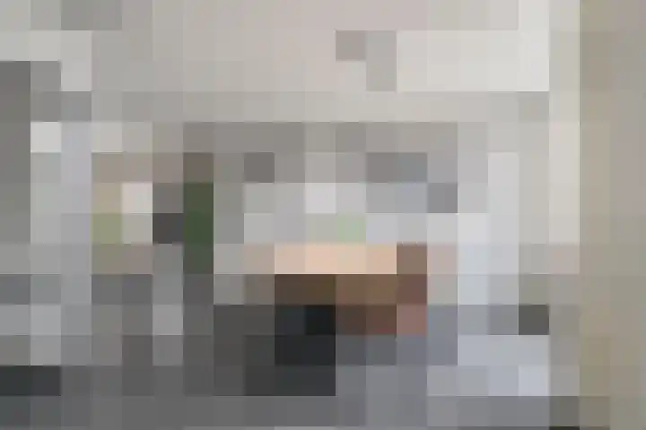 Karel V-straat 6 Oss thumbnail 10
